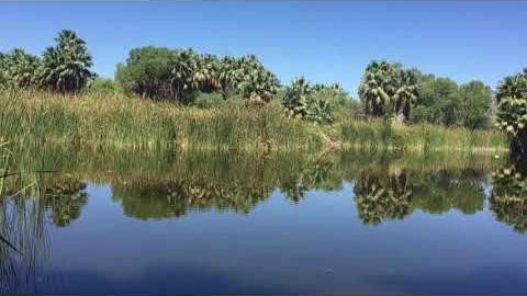 Watch: Summer splendor at Agua Caliente Park